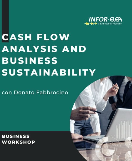 Cash Flow analysis and business sustainability