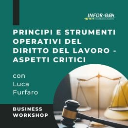 Principi e strumenti operativi del diritto del lavoro - Aspetti Critici workshop con Luca Furfaro