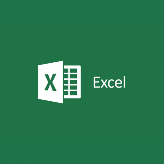 Microsoft Excel Aggiornamento informatico – Foglio elettronico livello base