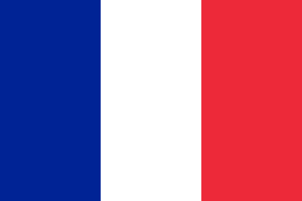 bandiera francese1